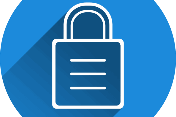 Free castle security locked vector